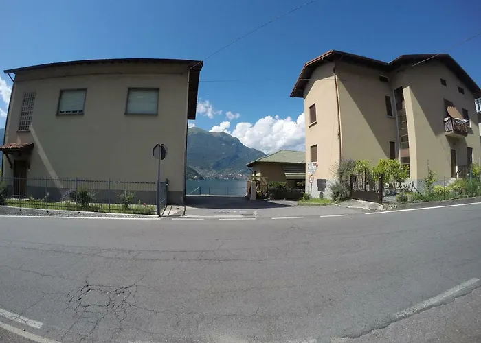 L'agrifoglio Lezzeno